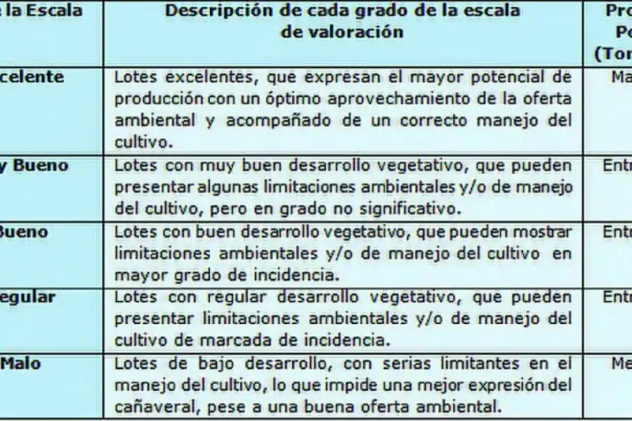 Informe del INTA: el desarrollo de los cañaverales presenta una fuerte heterogeneidad