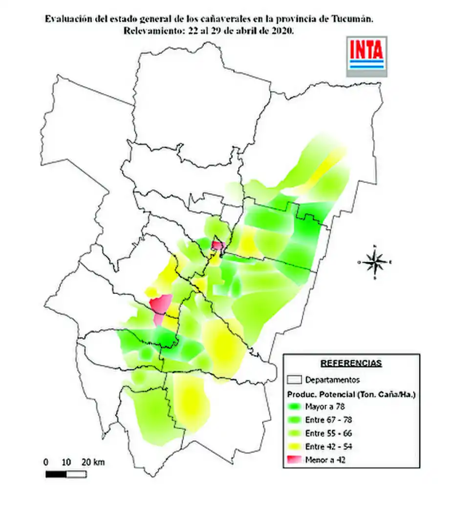 Informe del INTA: el desarrollo de los cañaverales presenta una fuerte heterogeneidad