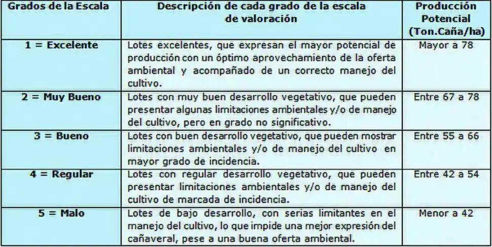Informe del INTA: el desarrollo de los cañaverales presenta una fuerte heterogeneidad