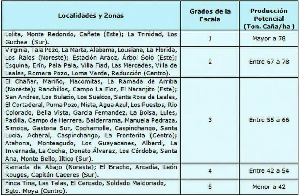 Informe del INTA: el desarrollo de los cañaverales presenta una fuerte heterogeneidad