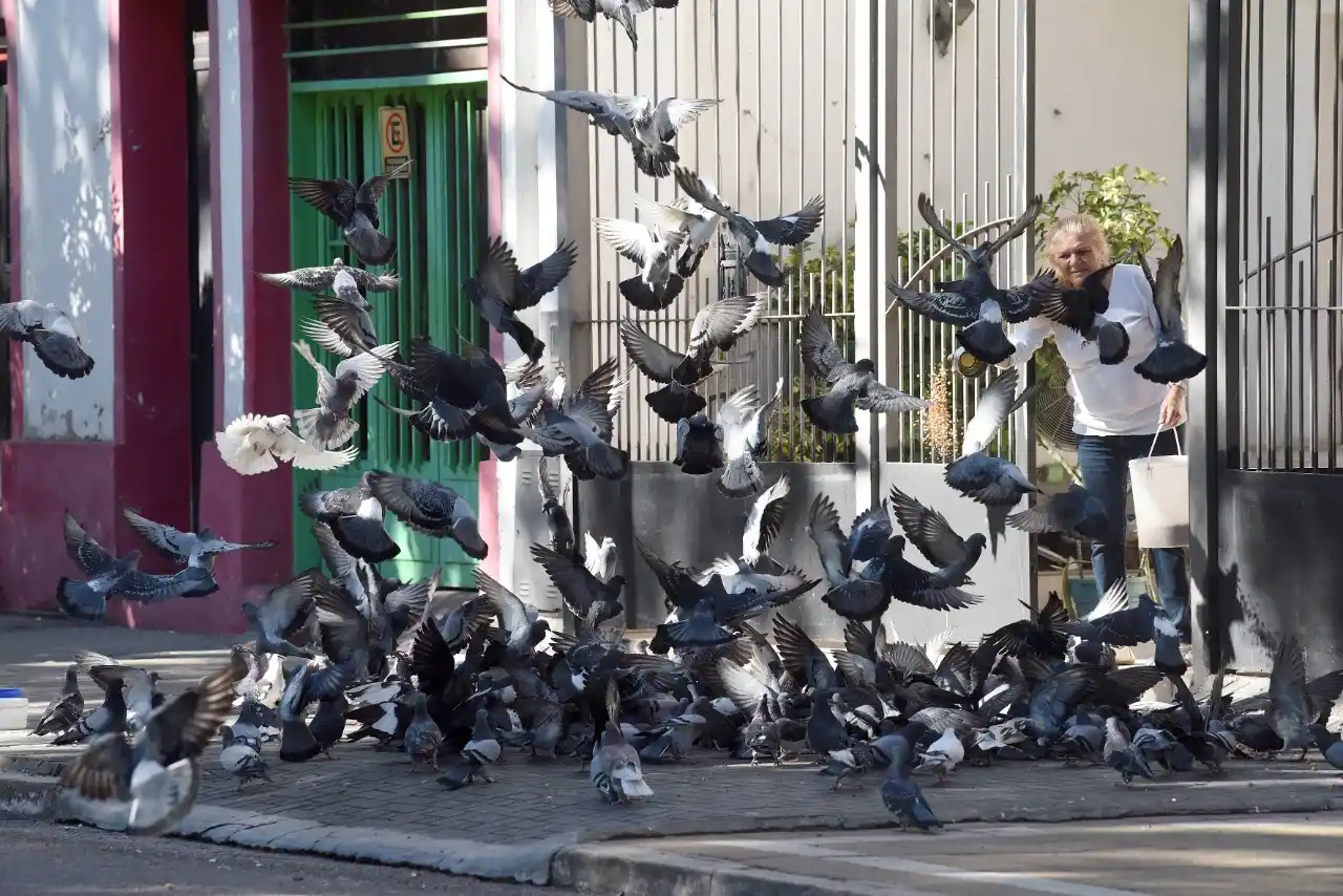 Fotos: así fue otro domingo de cuarentena en las calles tucumanas