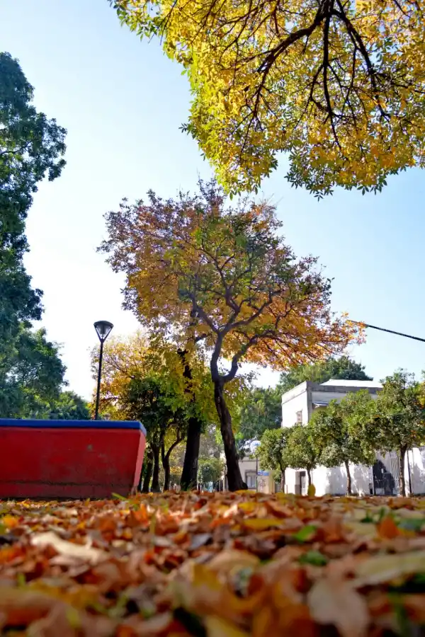 Fotos: así fue otro domingo de cuarentena en las calles tucumanas