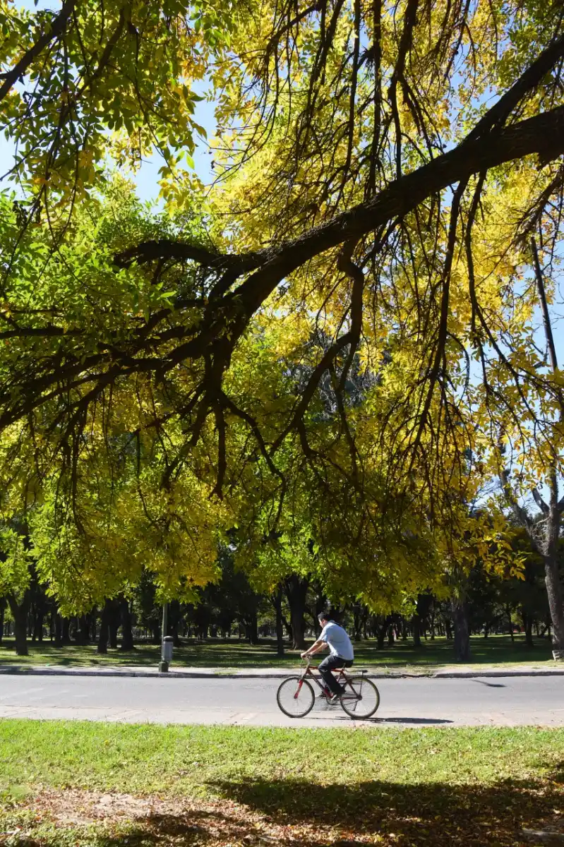 Fotos: así fue otro domingo de cuarentena en las calles tucumanas