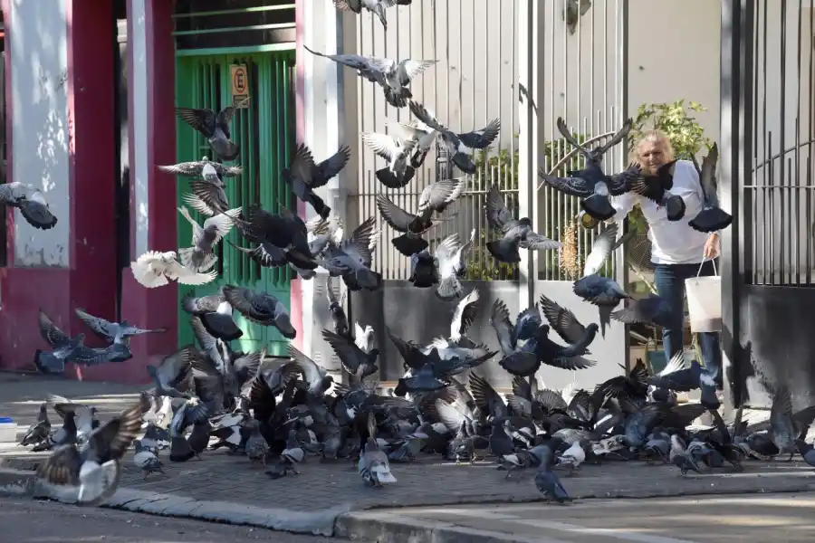 Fotos: así fue otro domingo de cuarentena en las calles tucumanas