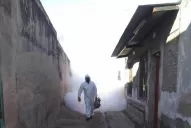 Según una encuesta de la Unsta, en Tucumán hay más miedo al dengue que al coronavirus