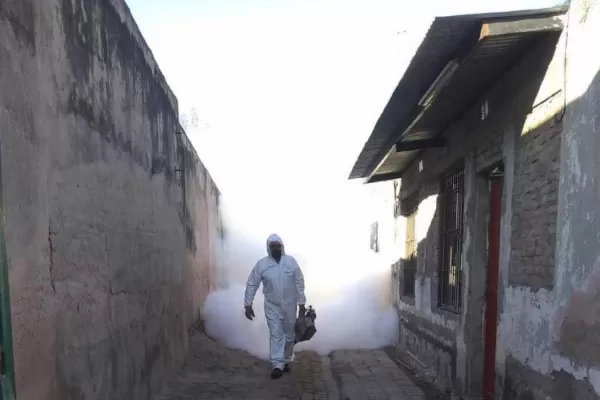 Según una investigadora, aún no hay presencia del mosquito que transmite dengue