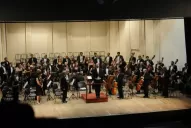 Qué dicen de Beethoven los artistas locales