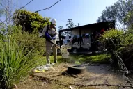 Dengue: la mejor prevención es matar las larvas, dice un experto