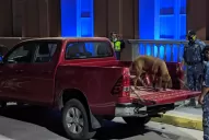 La misteriosa desaparición de Espinoza: peritan vehículos para buscar rastros de sangre