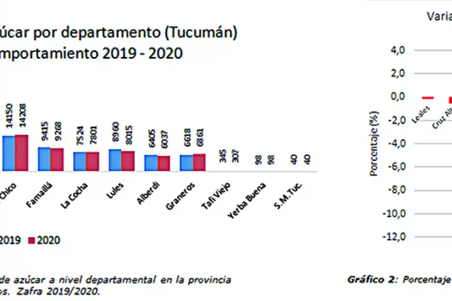 Se plantaron para esta zafra 2.000 ha más de caña que el año pasado