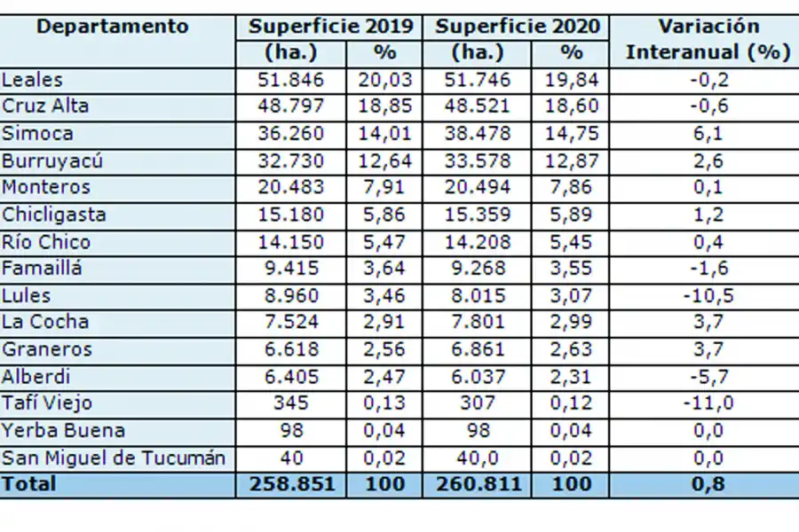Se plantaron para esta zafra 2.000 ha más de caña que el año pasado