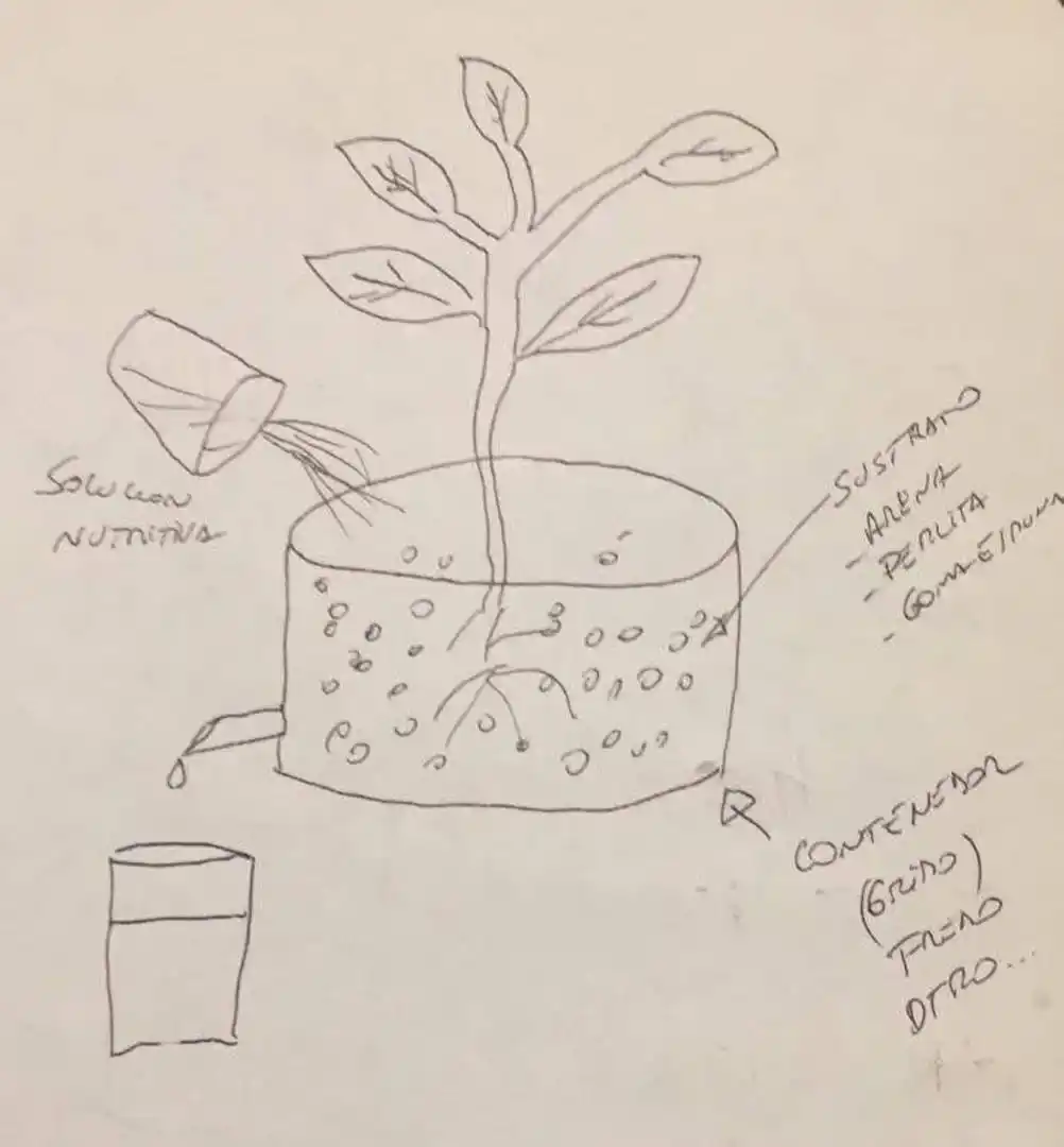 MANO ALZADA. Así dibujó Federico cómo armar la maceta hidropónica. 