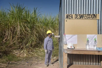 Imágenes: los constructores otra vez ponen ladrillos