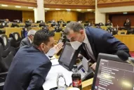 “Por lo ocurrido, advierto que puede haber disconformidad con mi tarea en la comisión”