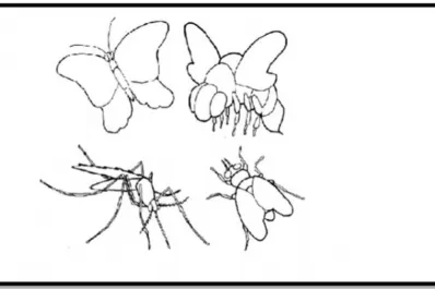Educación en tiempos del coronavirus: la escuela es la casa