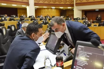 “Por lo ocurrido, advierto que puede haber disconformidad con mi tarea en la comisión”