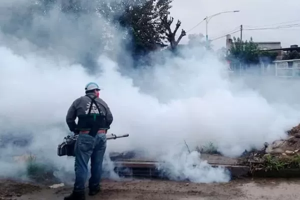 Villa Amalia: operativo contra el dengue