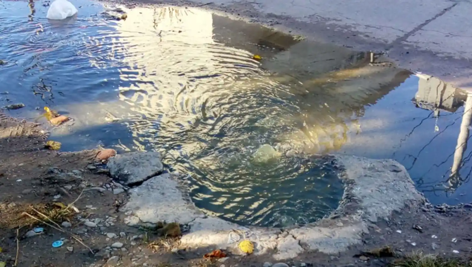  Burbujas de líquido maloliente en Delfín Gallo 1.000