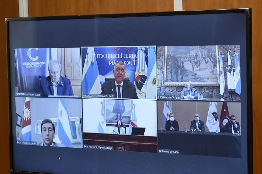 POR VIDEOLLAMADA. Jaldo, al centro de la pantalla, en la reunión con otros vicegoberandores. Foto: Prensa Legislatura