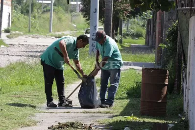 Confirmaron 47 casos de dengue en Tucumán y el descenso es porque el mosquito desaparece con el frío