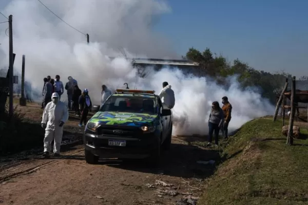 El Aedes se va despidiendo mientras pone sus huevos en “pausa” para volver a estar activo en septiembre