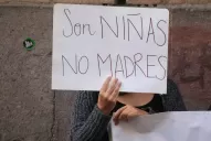 La ONG Andhes afirmá que el Estado está en mora con las medidas a favor de Lucía