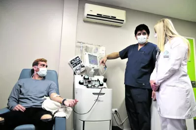 Coronavirus: así es el procedimiento para ser donante de plasma sanguíneo