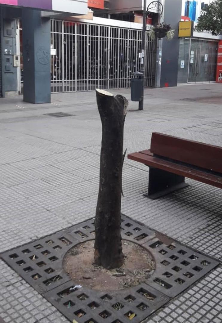  la gaceta / foto de antonio ferroni 
