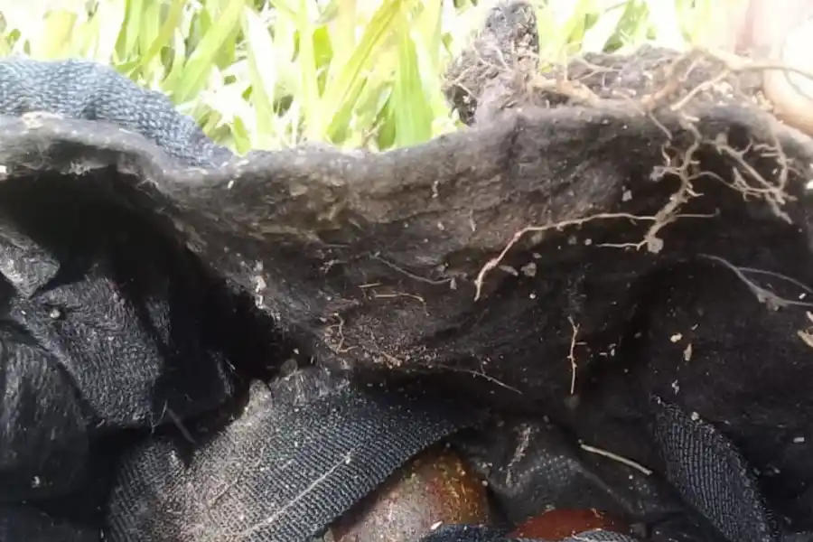 Encontraron material explosivo en el jardín de una casa de Yerba Buena