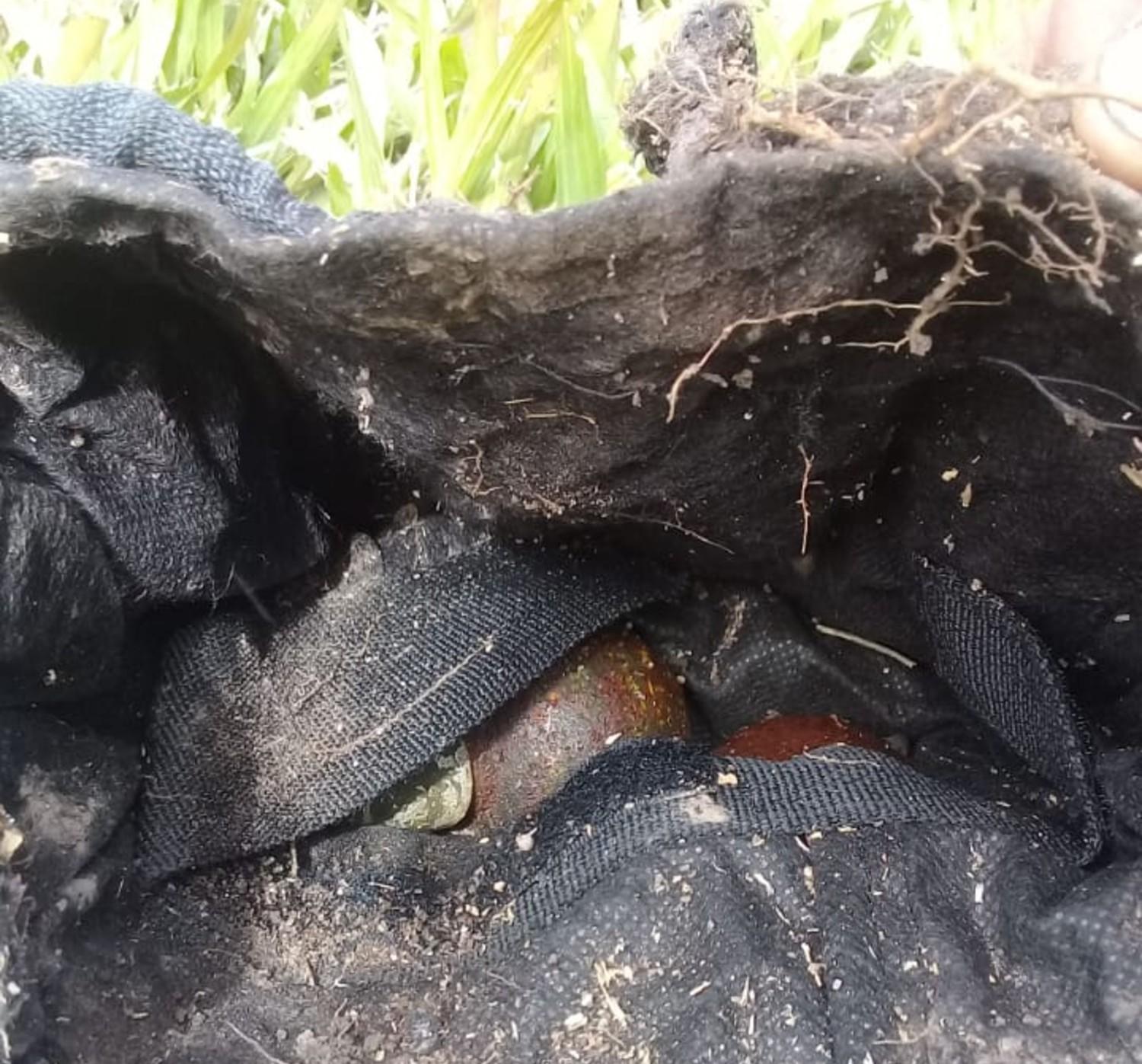 Encontraron material explosivo en el jardín de una casa de Yerba Buena