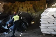 Denuncian que la Provincia pagó sobreprecios en la compra de alimentos para perros y caballos de la Policía