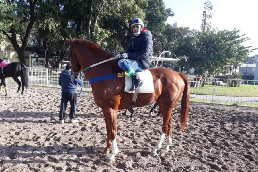 TODO LISTO. Los ejemplares practican de lunes a viernes en la pista principal.  