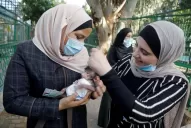 Baby boom con plumas y pelaje en el zoo de Palestina