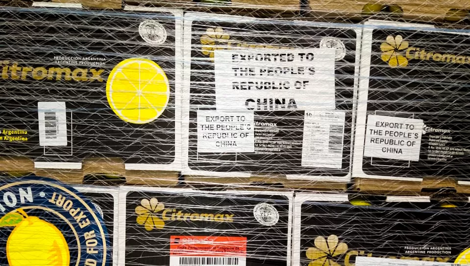 CARGAMENTO. Las cajas con los limones tucumanos se mantendrán refrigeradas durante los 40 días que demora el viaje en barco hacia China.