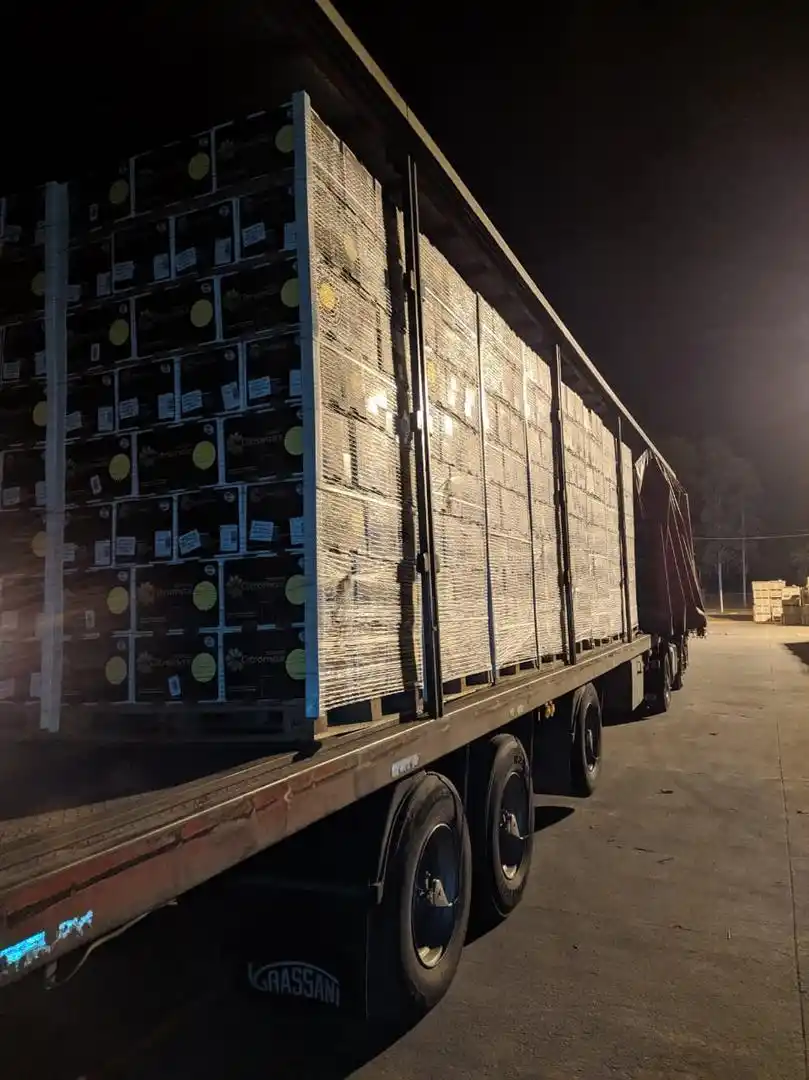  FLETE CORTO. Los pallets se enviaron al puerto en camión.