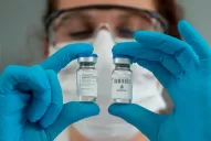 Científicos argentinos crearon un suero que neutraliza al coronavirus