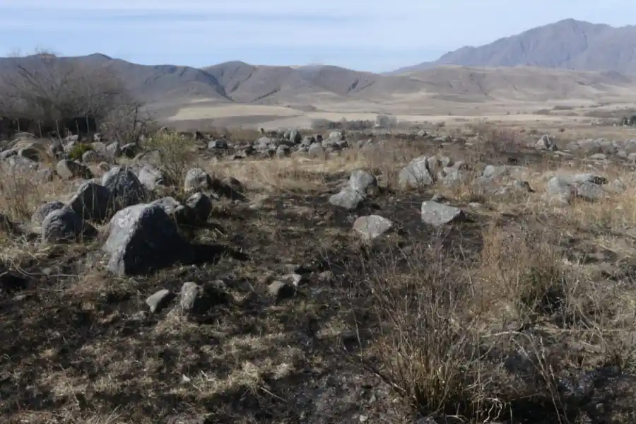 Una quema de pastizales arrasó con un campo en Tafí del Valle