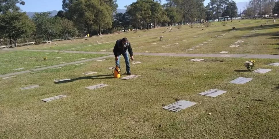 FUMIGACIÓN. Un empleado municipal desinfecta la zona de lápidas de uno de los cementerios de la ciudad. 