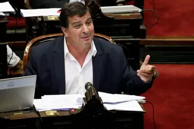 El proyecto oficialista: deudas impositivas al 31 de mayo