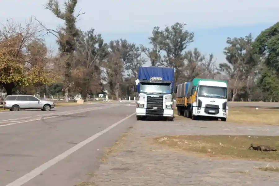 RODADO PESADO. Camiones secuestrados. Foto: Prensa Ministerio de Seguridad