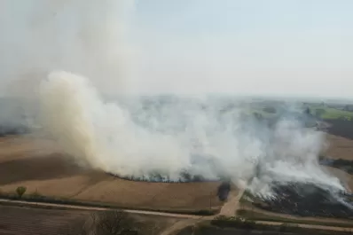 Dónde llamar en caso de quema de pastizales o de cañaverales