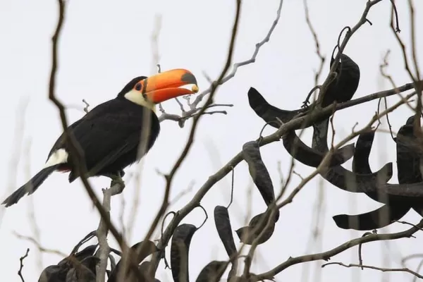 Volvimos a conectarnos con la naturaleza