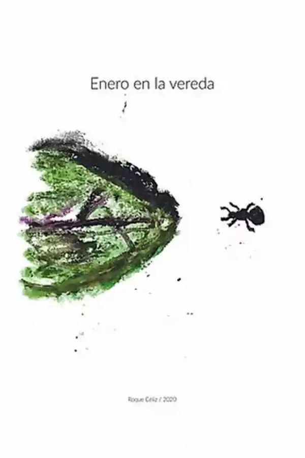 Pedazos de Tucumán hechos canción