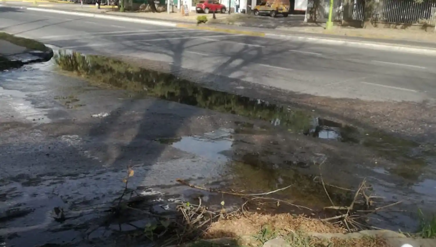 Susto por caída de postes en barrio San Francisco