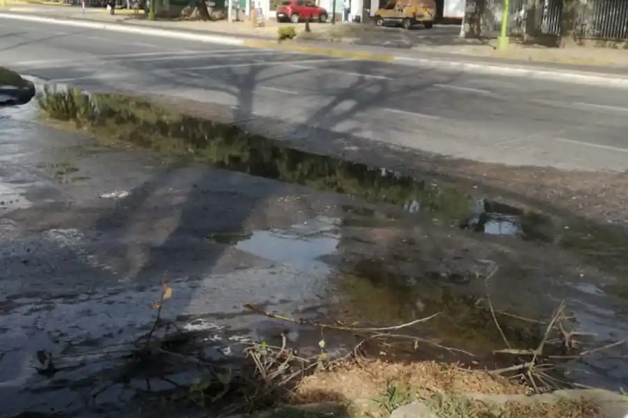 Susto por caída de postes en barrio San Francisco