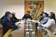 Legislatura: tiene dictamen el proyecto de ley para cerrar las fronteras por el coronavirus