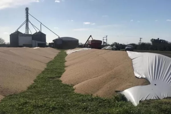 Inseguridad en el campo: el agro celebra que se quiera crear la figura de “vandalismo rural”