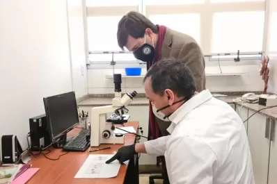 “Estamos en la etapa clave de la investigación del caso Nadal”