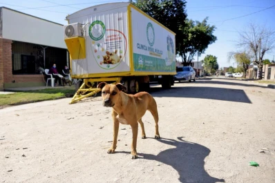 El servicio de castración gratuita llega al barrio Ciudadela Sur