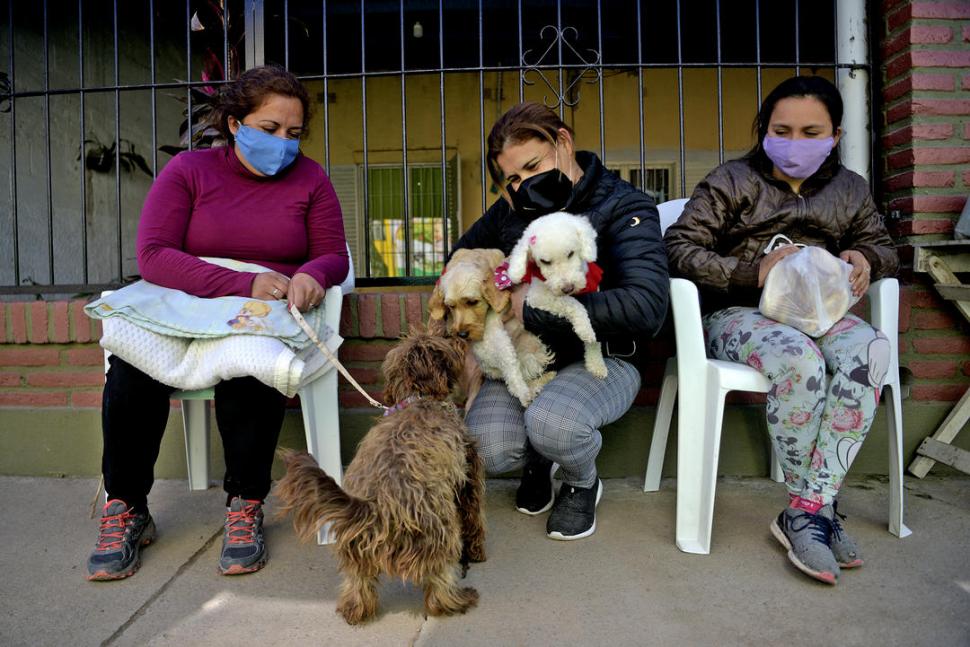 EN LA VEREDA. Ellas esperan con paciencia el turno para que les efectúen la práctica quirúrgica a sus mascotas. 